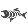 Bonefish Charters
