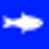 J&P Fishing Charters