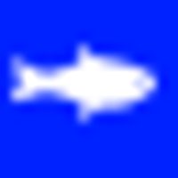 J&P Fishing Charters