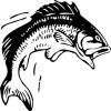 Maitland Valley Fishing Charters