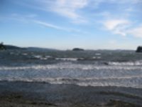 Meadows Marine Surveyors